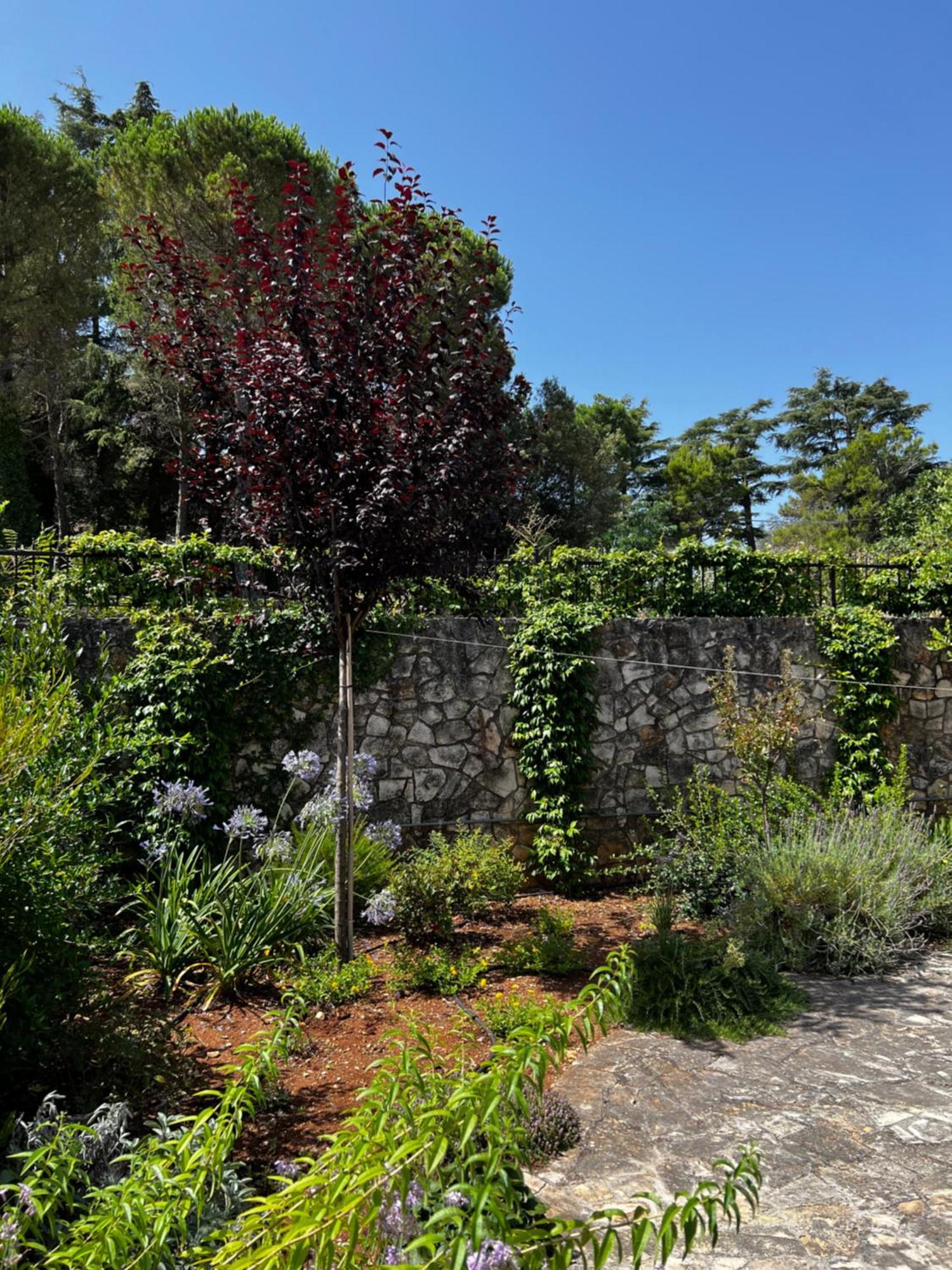 Dimora Di Bari Vila Selva Di Fasano Exterior foto